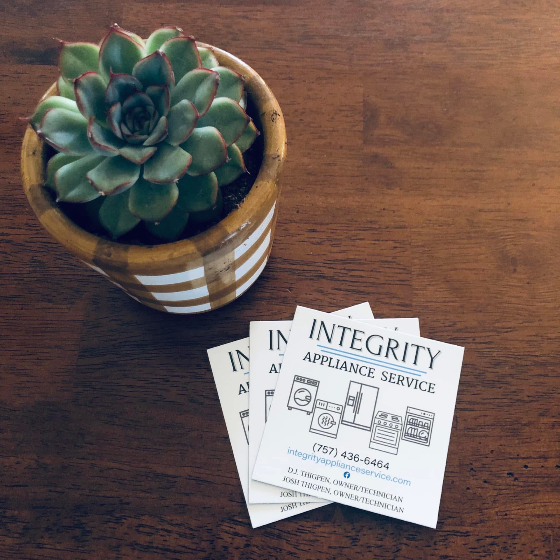 Integrity Appliance Service business cards beside a potted succulent
